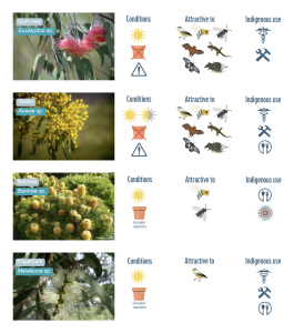 native australian plant guide
